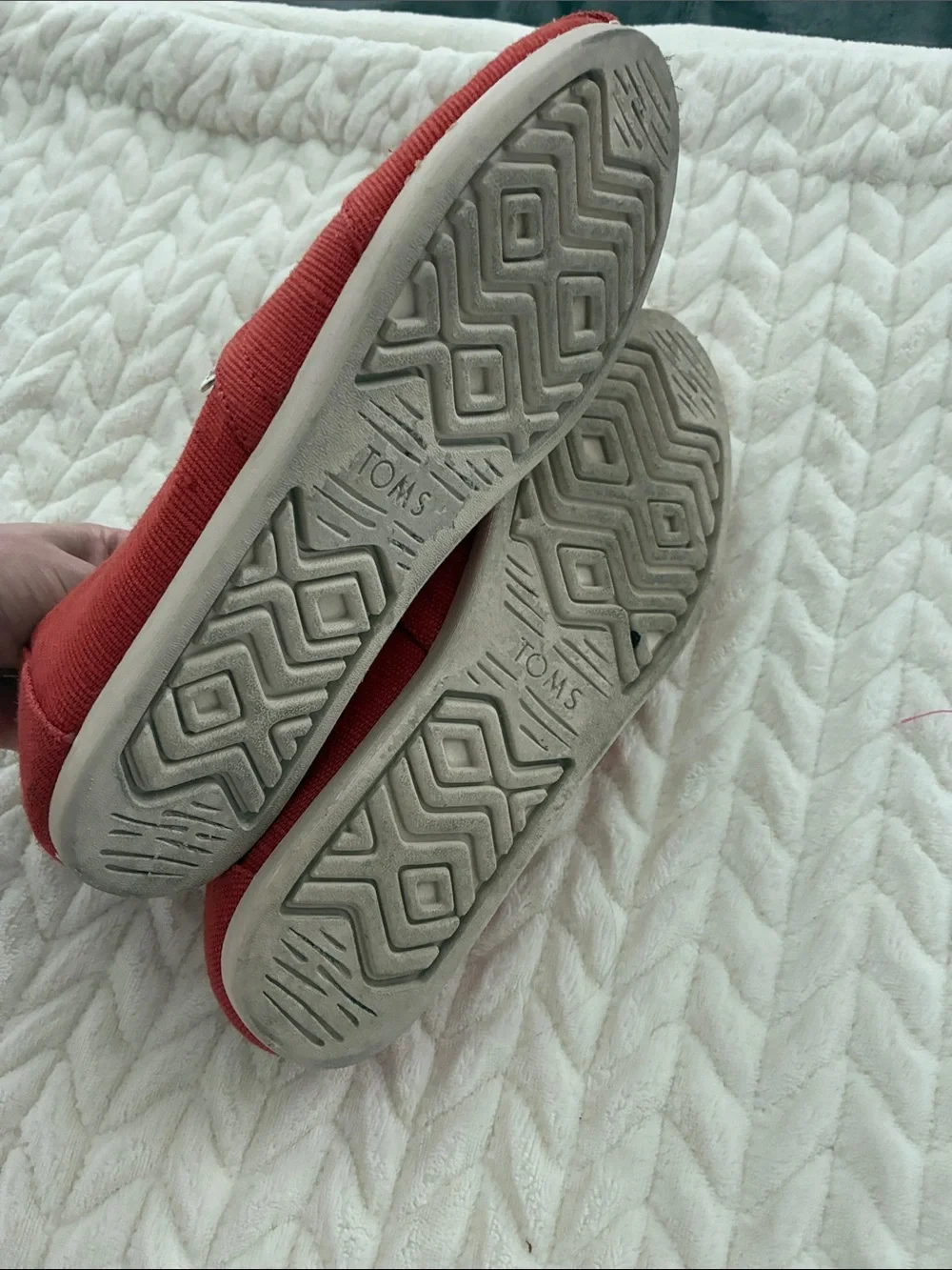 Toms casual canvas